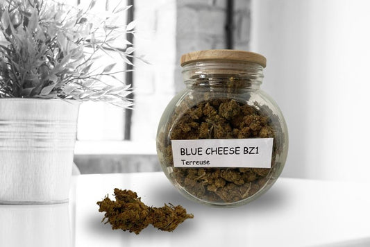 Blue cheese BZ1 premium 0.3 IT