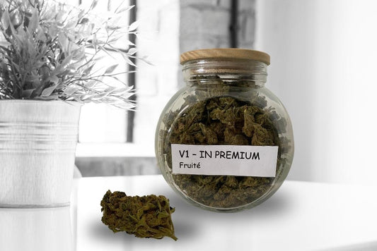 V1 IN premium